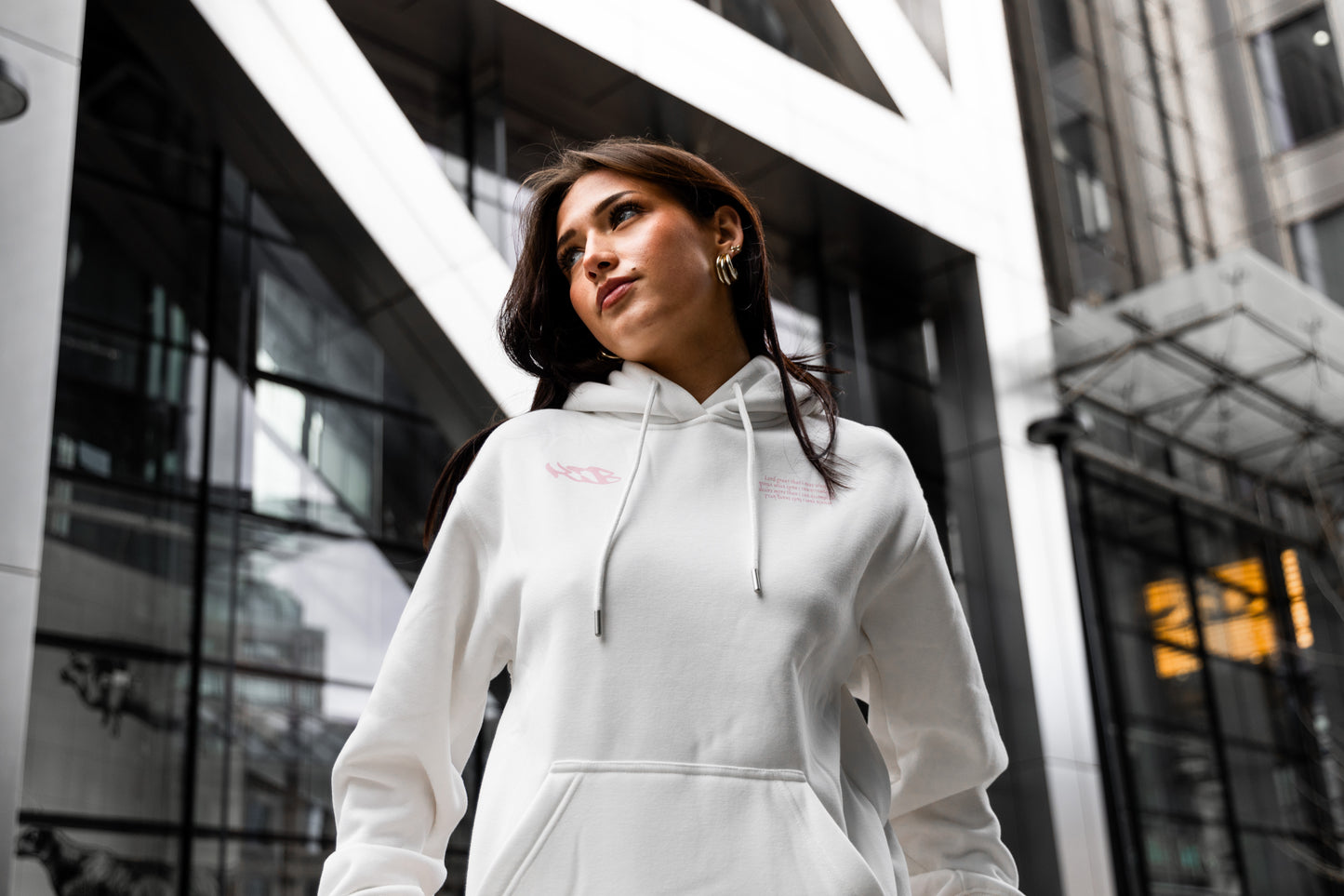 Renaissance Hoodie